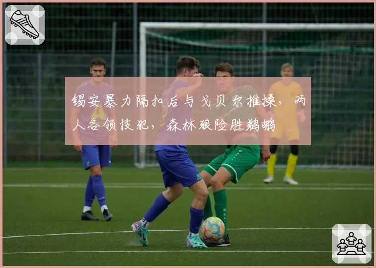 锡安暴力隔扣后与戈贝尔推搡，两人各领技犯，森林狼险胜鹈鹕