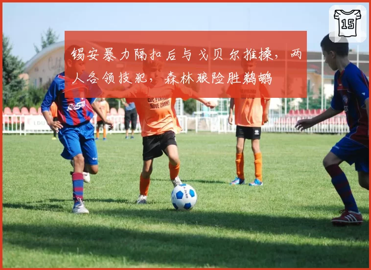 锡安暴力隔扣后与戈贝尔推搡，两人各领技犯，森林狼险胜鹈鹕