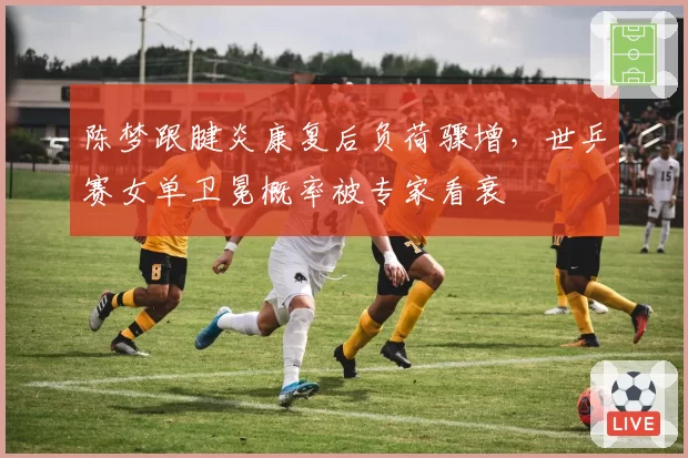 陈梦跟腱炎康复后负荷骤增，世乒赛女单卫冕概率被专家看衰
