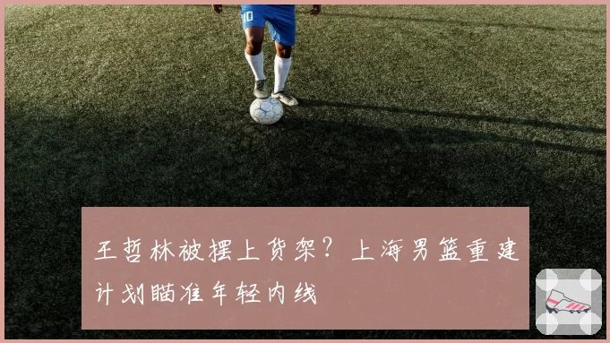 王哲林被摆上货架？上海男篮重建计划瞄准年轻内线
