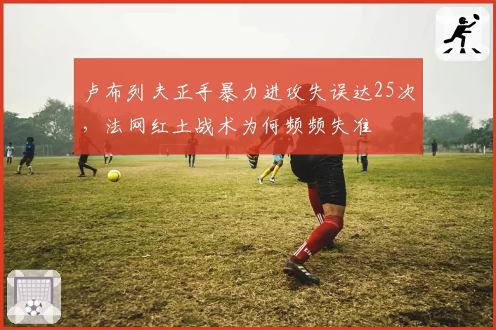 卢布列夫正手暴力进攻失误达25次,法网红土战术为何频频失准